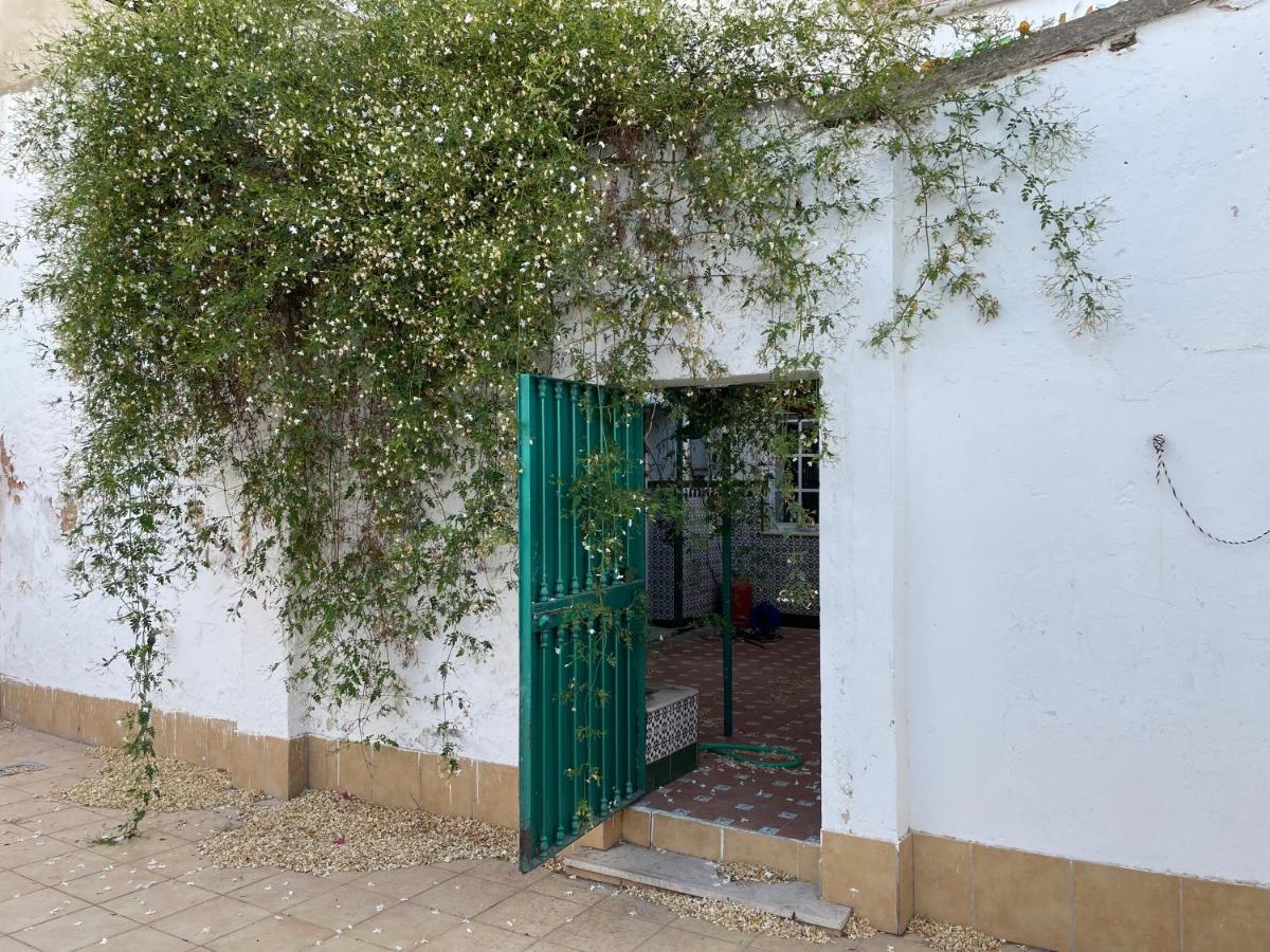 Patios De La Carmela Holiday home *